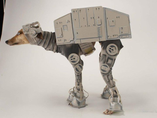 Illustration for article titled Meet Bones Mello, the AT-AT Dog